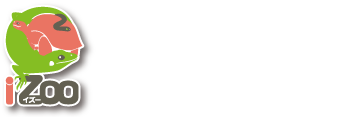 体感型動物園iZoo【イズー】―公式オンラインショップ―ジャングルギフト